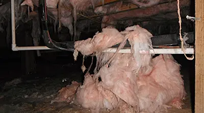 Crawl space encapsulation provides huge benefits to you and your home! 3