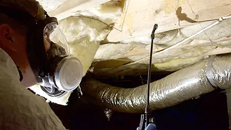 Crawl Space Mold Removal