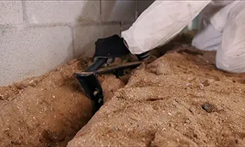 Crawl Space Brothers