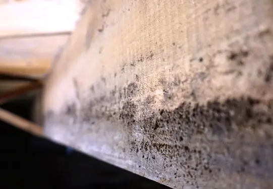 Crawl Space Brothers - Crawl Space Experts - Mold & Mildew