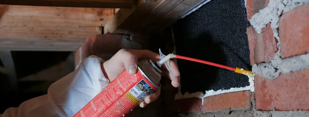 Crawl Space Brothers | Maintaining Your Crawl Space