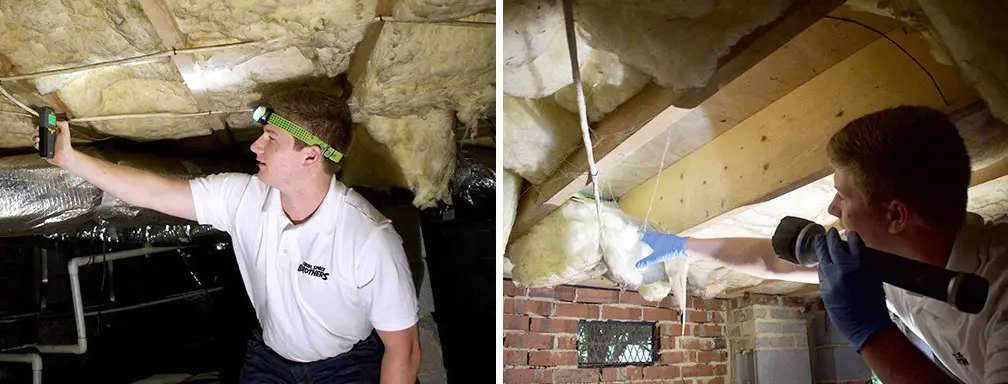 Crawl Space Brothers | Maintaining Your Crawl Space