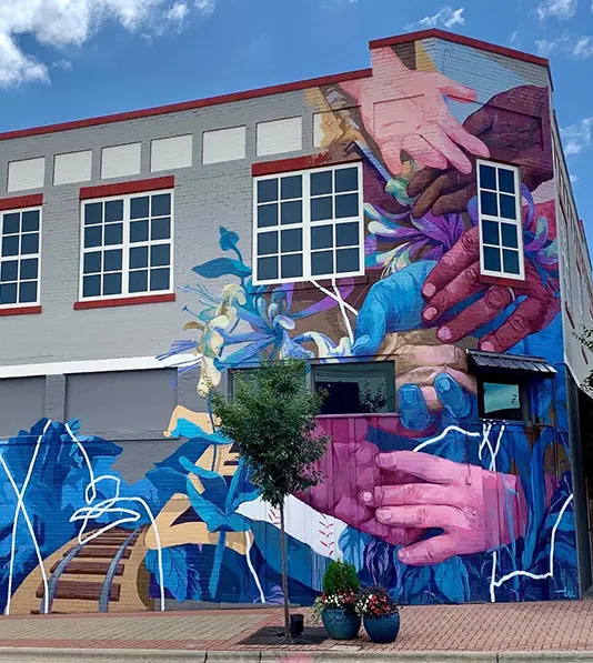 Crawl Space Brothers Raleigh NC | Zebulon NC | East Wake Television Mural