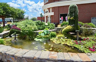 Crawl Space Brothers | Greenville SC | Greenwood SC | Festival of Flowers