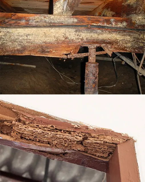 Crawl Space Brothers | Charlotte NC | Crawl Space Structural Repair