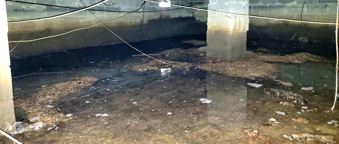 Crawl Space Brothers | Nashville TN | Water in Crawl Space