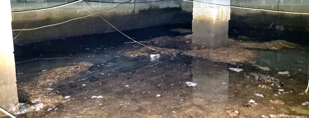 Crawl Space Brothers | Water in Your Crawl Space