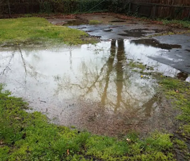 Crawl Space Brothers | Moisture Remediation