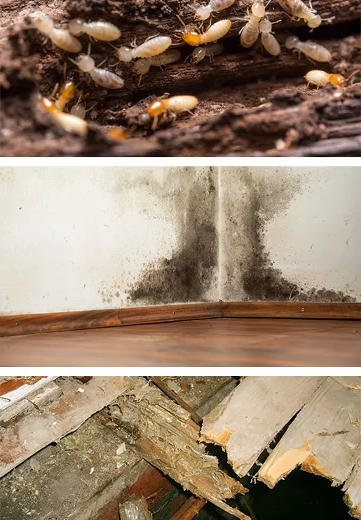 Crawl Space Brothers | Basement Waterproofing
