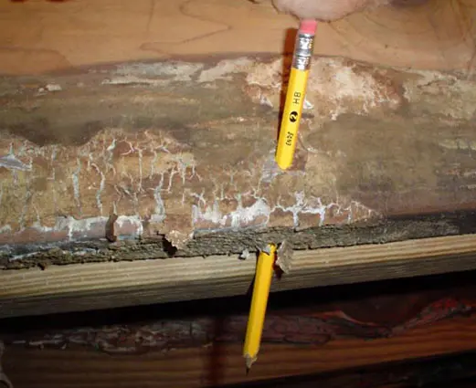 Crawl Space Brothers | Crawl Space Inspection