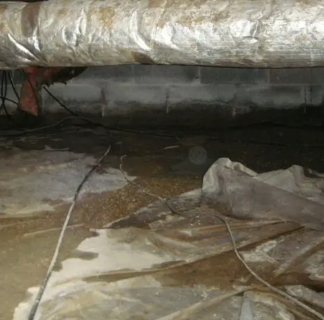 Crawl Space Brothers | Crawl Space Inspection