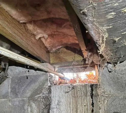 Crawl Space Brothers | Crawl Space Inspection