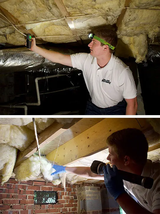 Crawl Space Brothers | Crawl Space Inspection