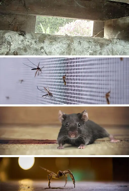 Crawl Space Brothers | Crawl Space Vent Sealing
