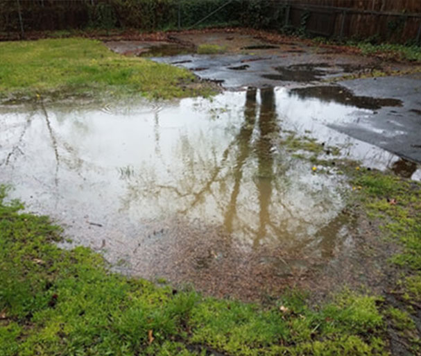 Crawl Space Brothers | Moisture Remediation