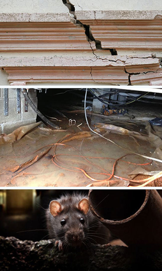 Crawl Space Brothers | Moisture Remediation