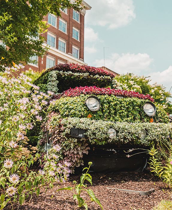 Crawl Space Brothers | Greenville SC | Greenwood SC | Festival of Flowers