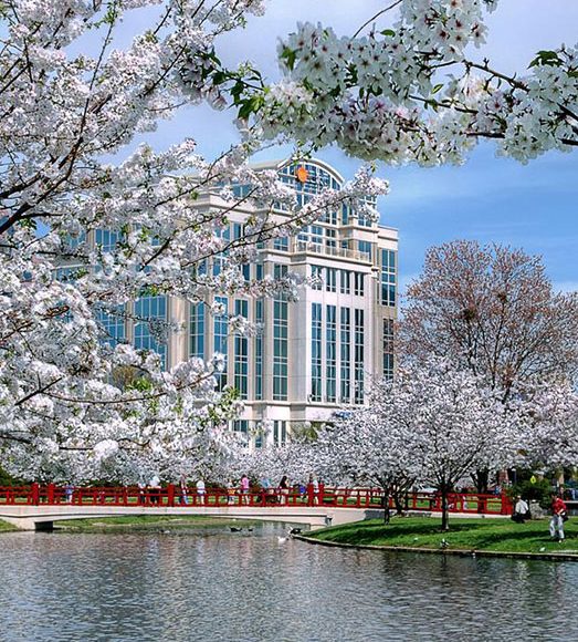 Crawl Space Brothers Huntsville AL Service Area | Big Spring International Park - 200 Church St SW Huntsville, AL 35801