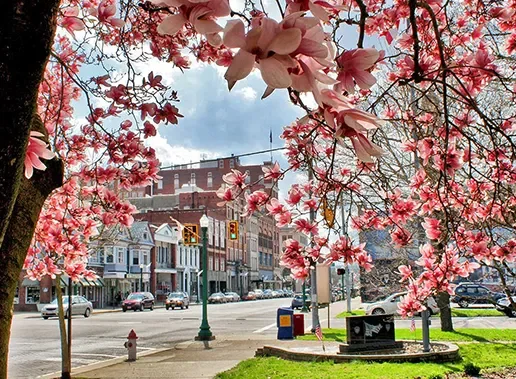 Crawl Space Brothers Marietta GA 50 Park Square Marietta GA 30060