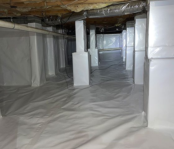 Crawl Space Brothers Encapsulation